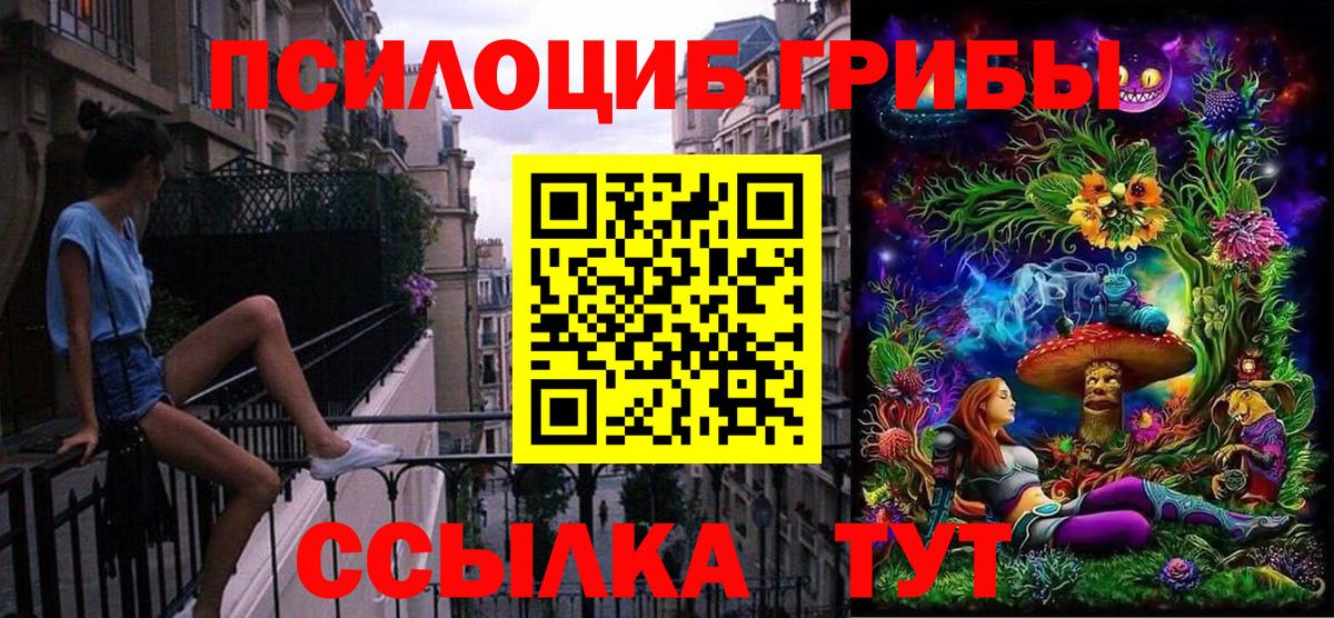 Галлюциногенные грибы Psilocybine cubensis  Вход с VPN  Тверь 