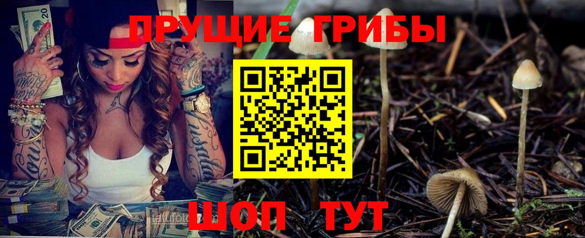 Псилоцибиновые грибы мицелий Тверь